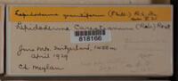 Image Associated With the Occurence